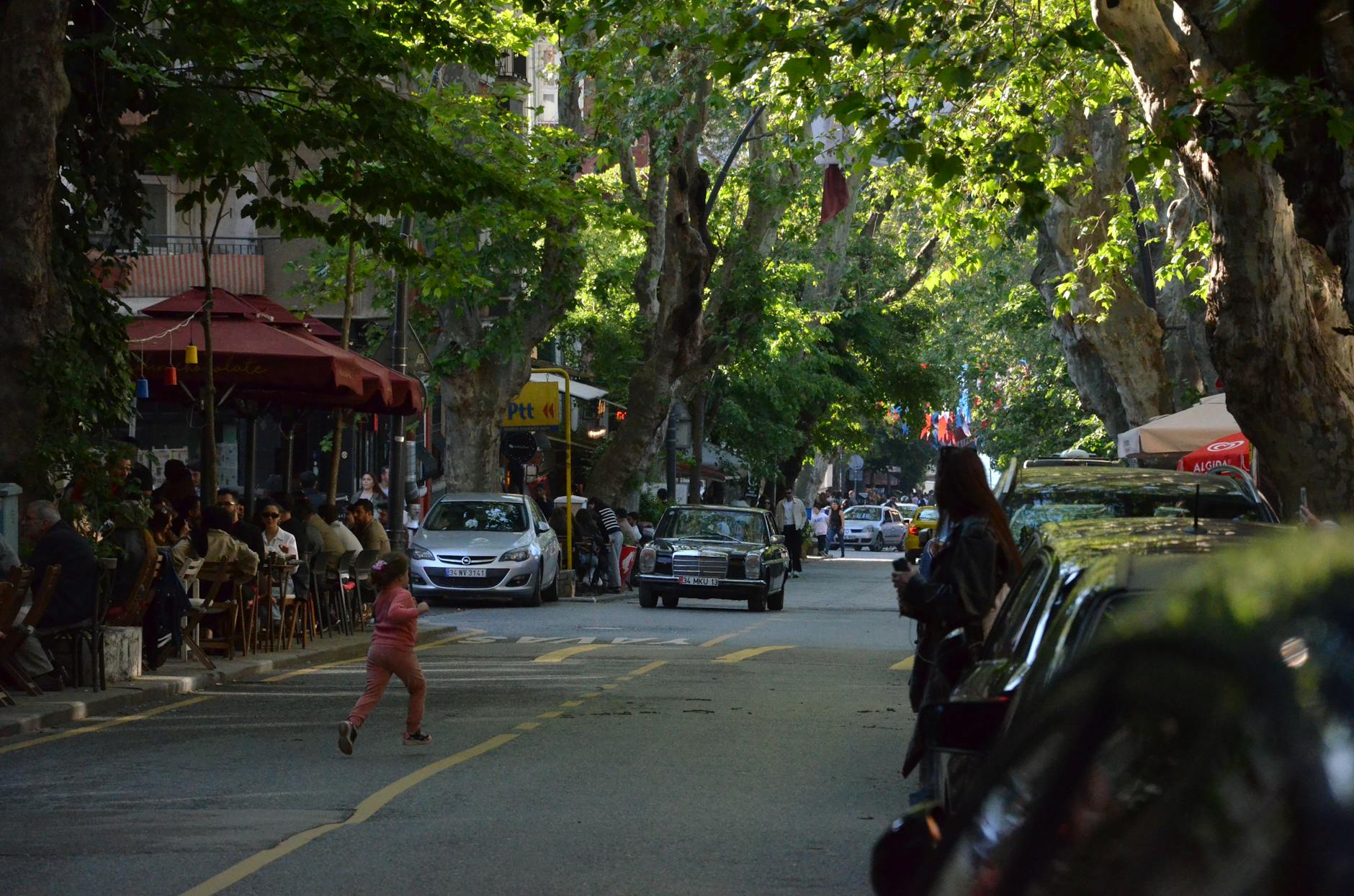 Historic 19th-century colonial homes lining a tree-lined street in Grafton Center, Massachusetts, showcasing classic New England architecture.